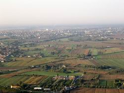 Pisa